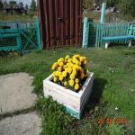 4 mik4_18.jpg